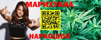 прущие крисы Будённовск