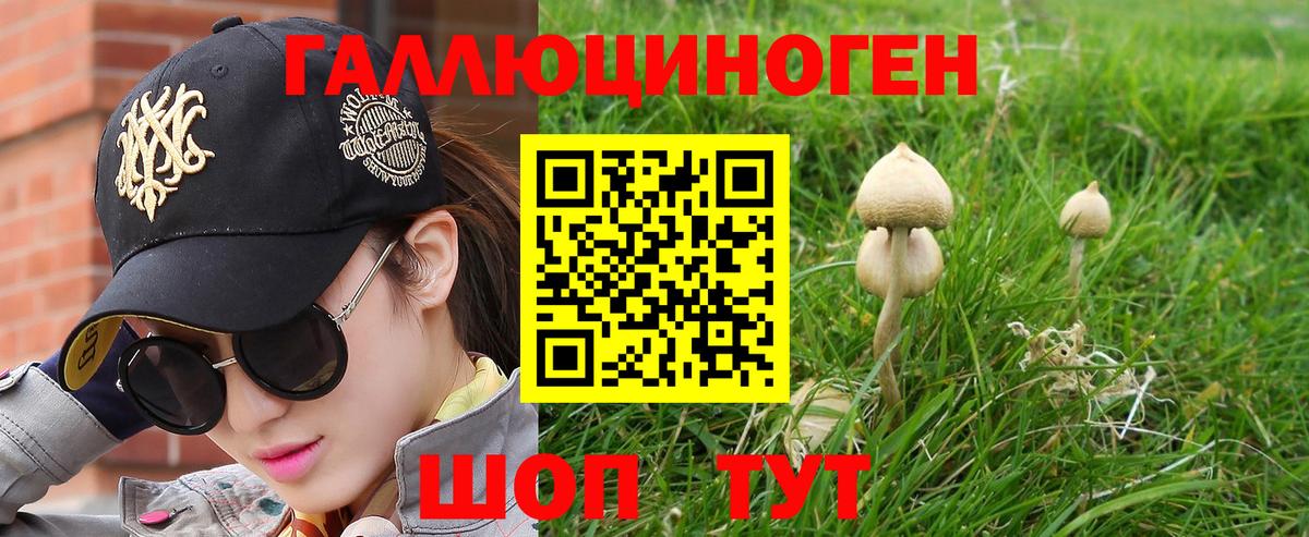 Галлюциногенные грибы прущие грибы Карабулак